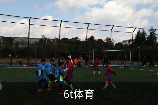 关于6t体育